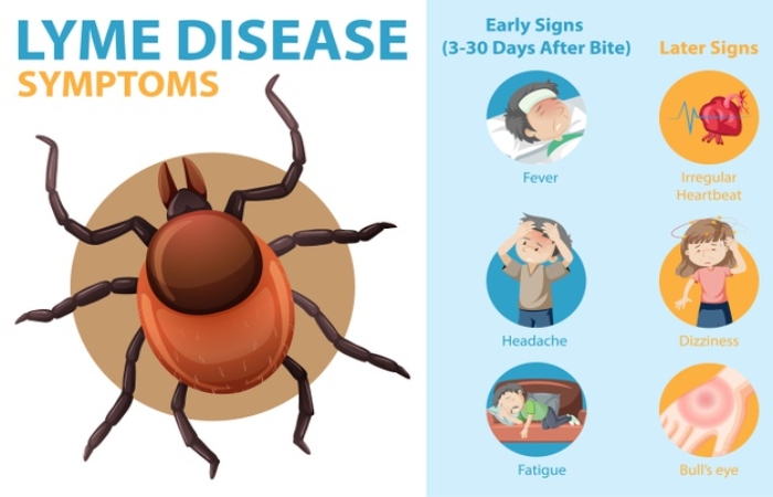 Lyme Disease - Causes, Symptoms, Diagnosis & Treatment